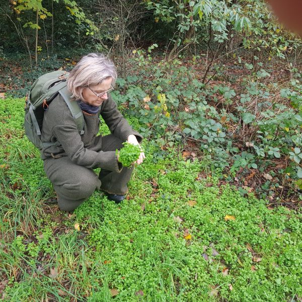 20201031_112822_resized