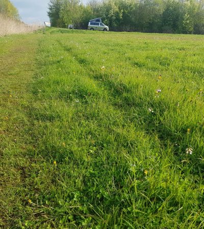 20210501_091100_resized