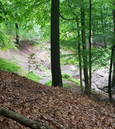 20210605_114009_resized