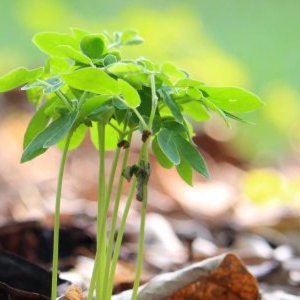 DGKLab-Beeld_crop-960x300